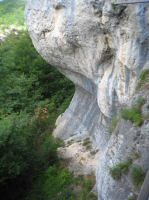 IMG_8528.jpg